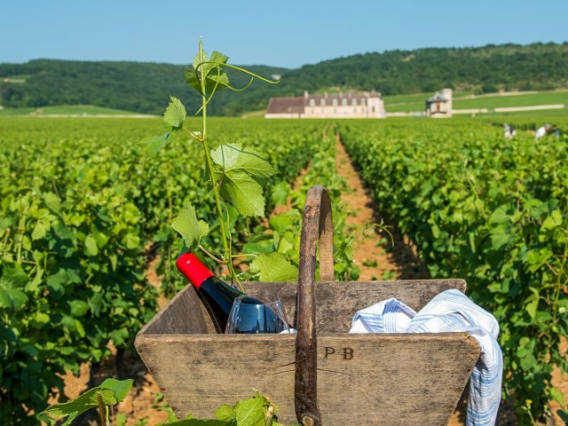 La Moutarderie Edmond Fallot a Beaune